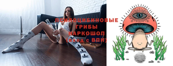 СК Алексеевка