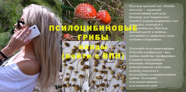 СК Алексеевка