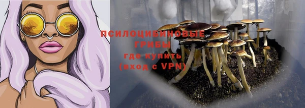 героин Алзамай