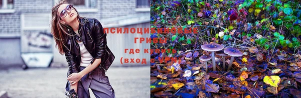 СК Алексеевка