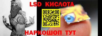 прущие грибы Абакан