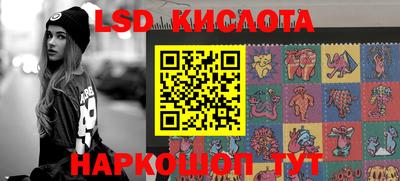 прущие грибы Абакан