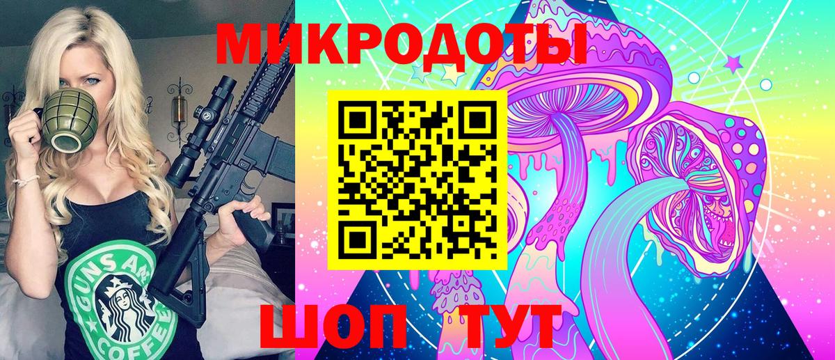 Апатиты  Галлюциногенные грибы Psilocybine cubensis  Вход с VPN 