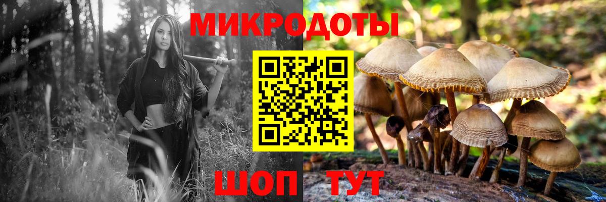 Галлюциногенные грибы ЛСД Апатиты