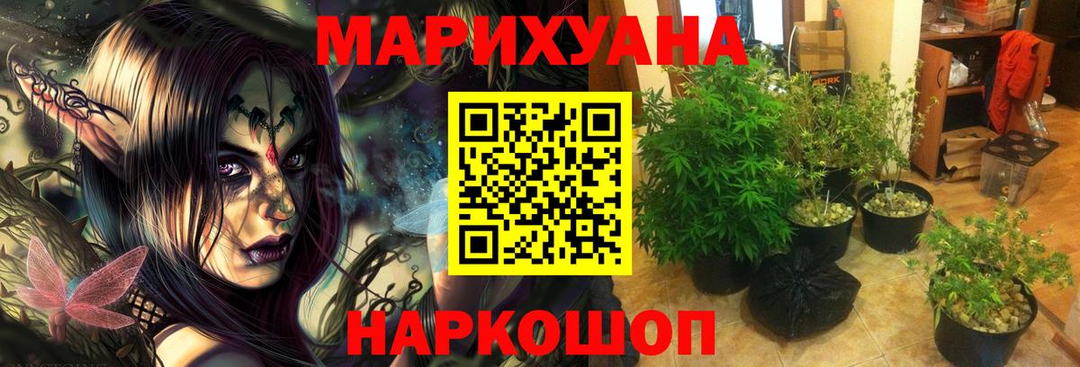 Каннабис индика  Бошки Шишки индика  Канабис White Widow  Марихуана THC 21%  Апатиты  Вход с VPN 